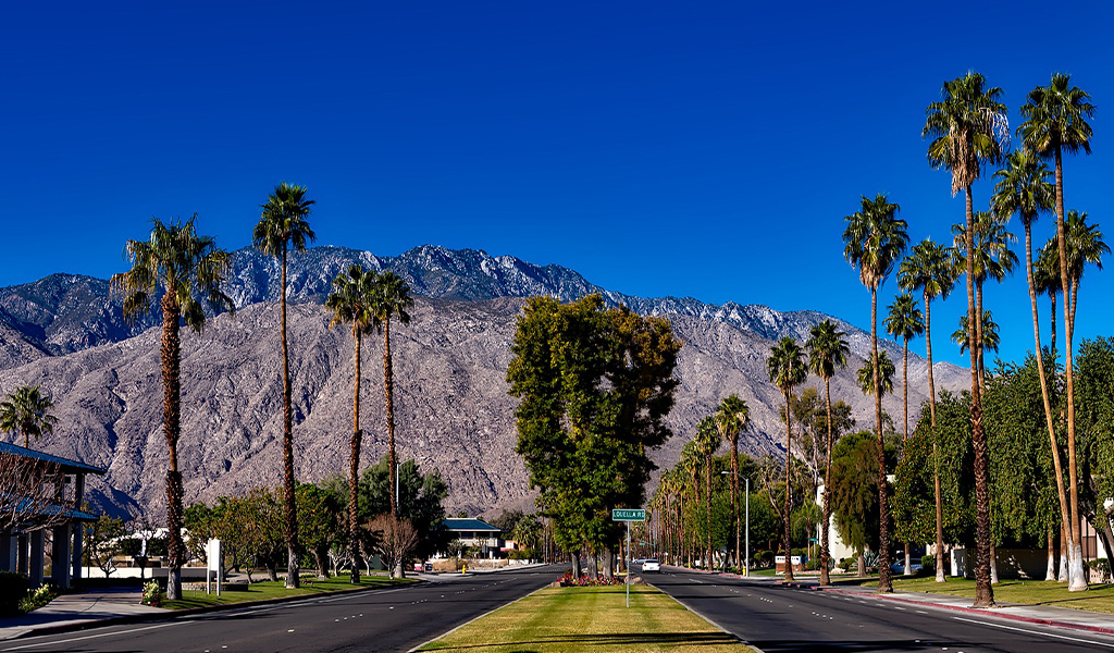 Ascendant Holidays Top 7 Spring Break Destinations Palm Springs 